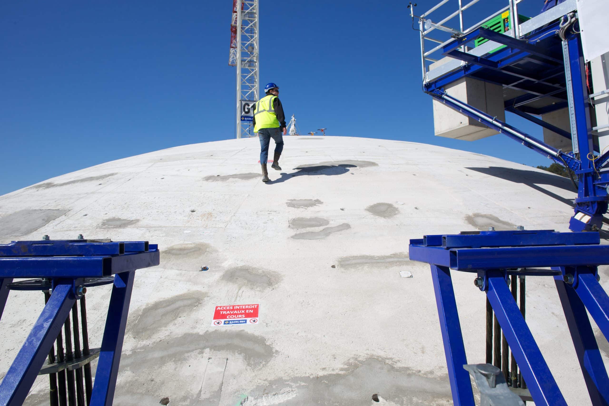 D2A8865 scaled our entities