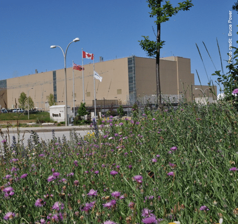 NEWS – NUVIA wins a major contract in radiation protection services for Bruce Power